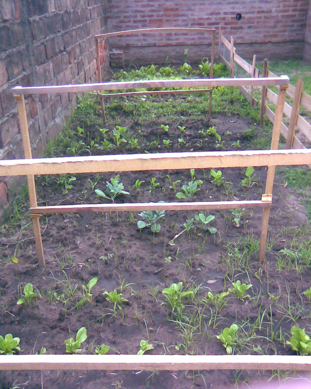 fotos/2007-11-21 - Primera quinta/Imagen075.jpg